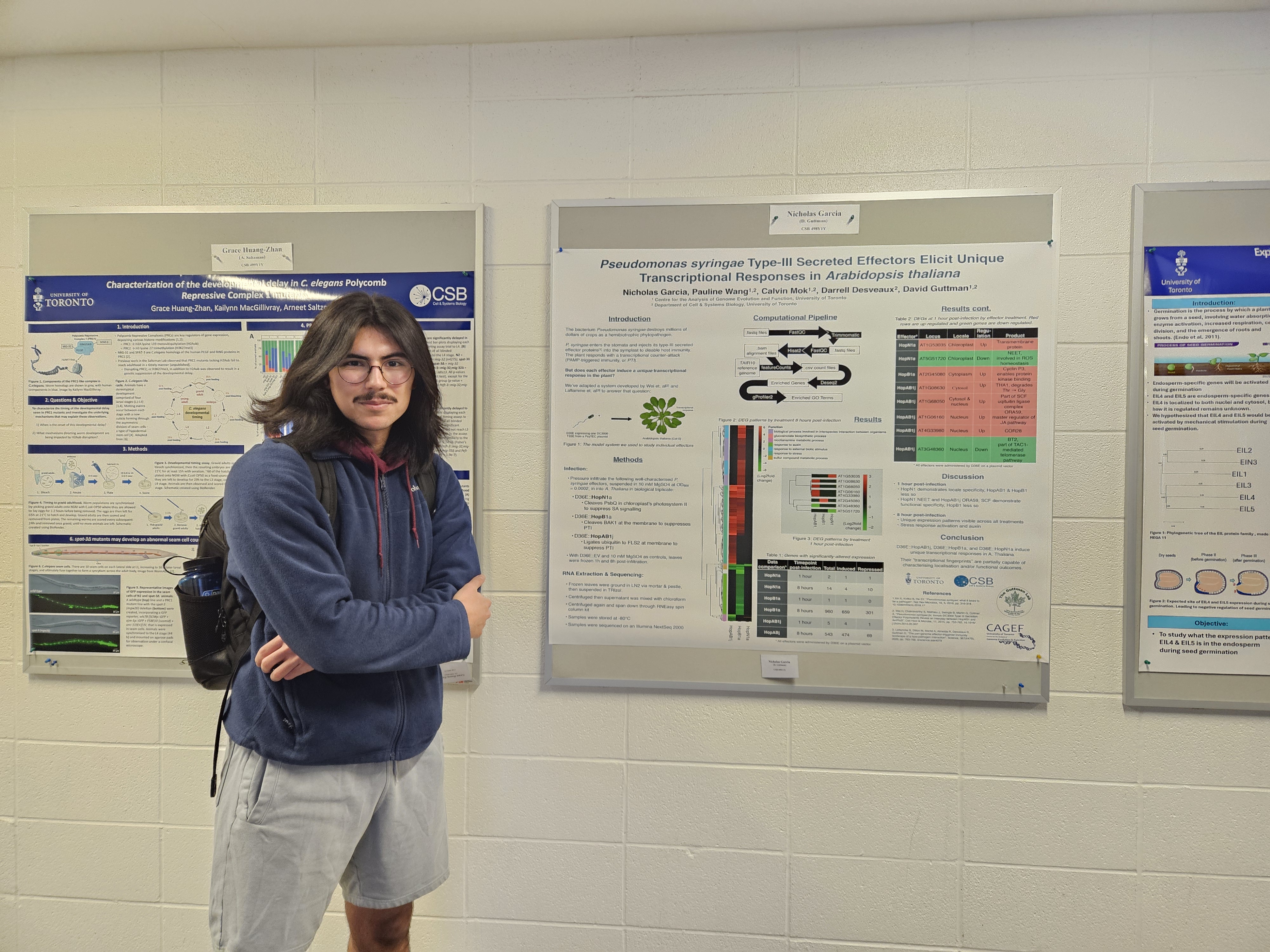 Me presenting my research project's findings on a poster at the 2025 Cell & Systems biology undergraduate poster session.